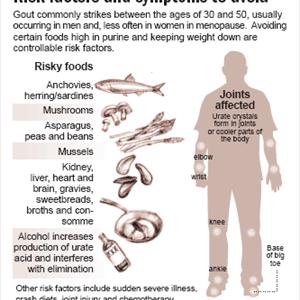 Purines - Ascorbic Acid A Possible Remedy Designed For Gout